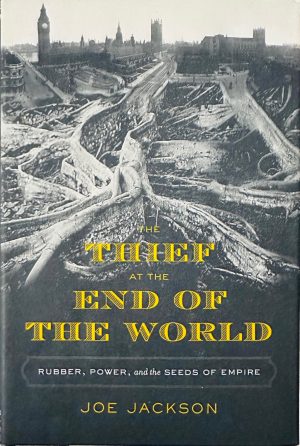 front cover of the book the thief at the end of the world by joe jackson
